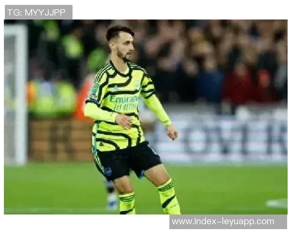 国安前锋法比奥谈成长之路称球队与阿森纳有相似之处 国安前锋法比奥谈成长之路称球队与阿森纳有相似之处